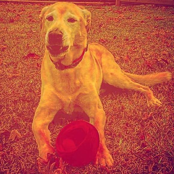 Meet your Posher, Matt - Picture 1 of 1